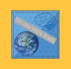 Professional Learning Networks
