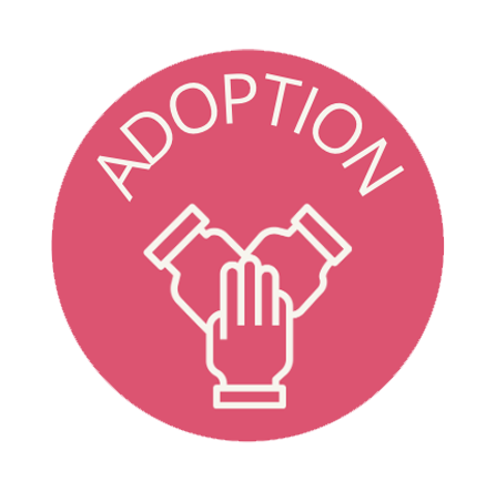 Adoption